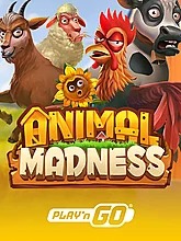 animal-madness