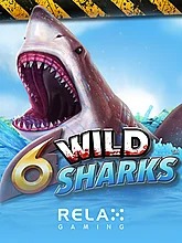 6-wild-sharks