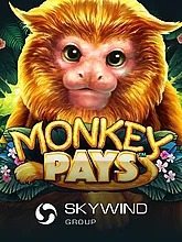 monkey-pays
